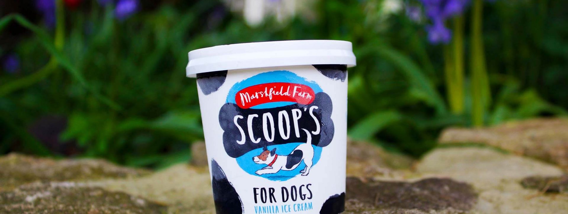 Treats for your Doggo!