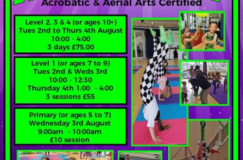 ACRO &#038; CIRCUS CAMP LEVEL , 2,3,4 (3 DAY WORKSHOP)