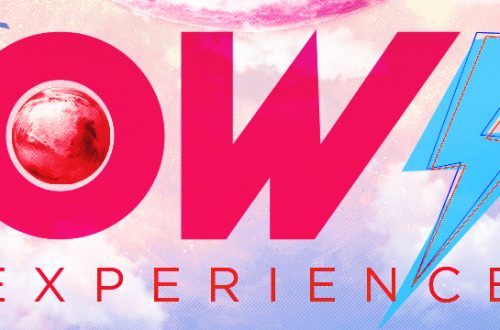 Bowie Experience