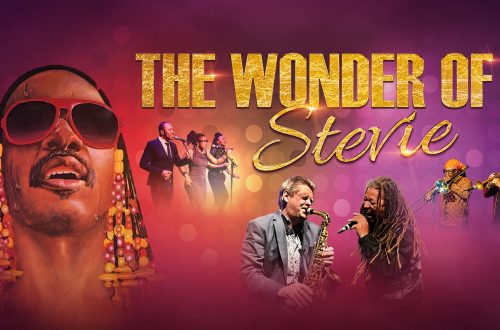 The Wonder of Stevie