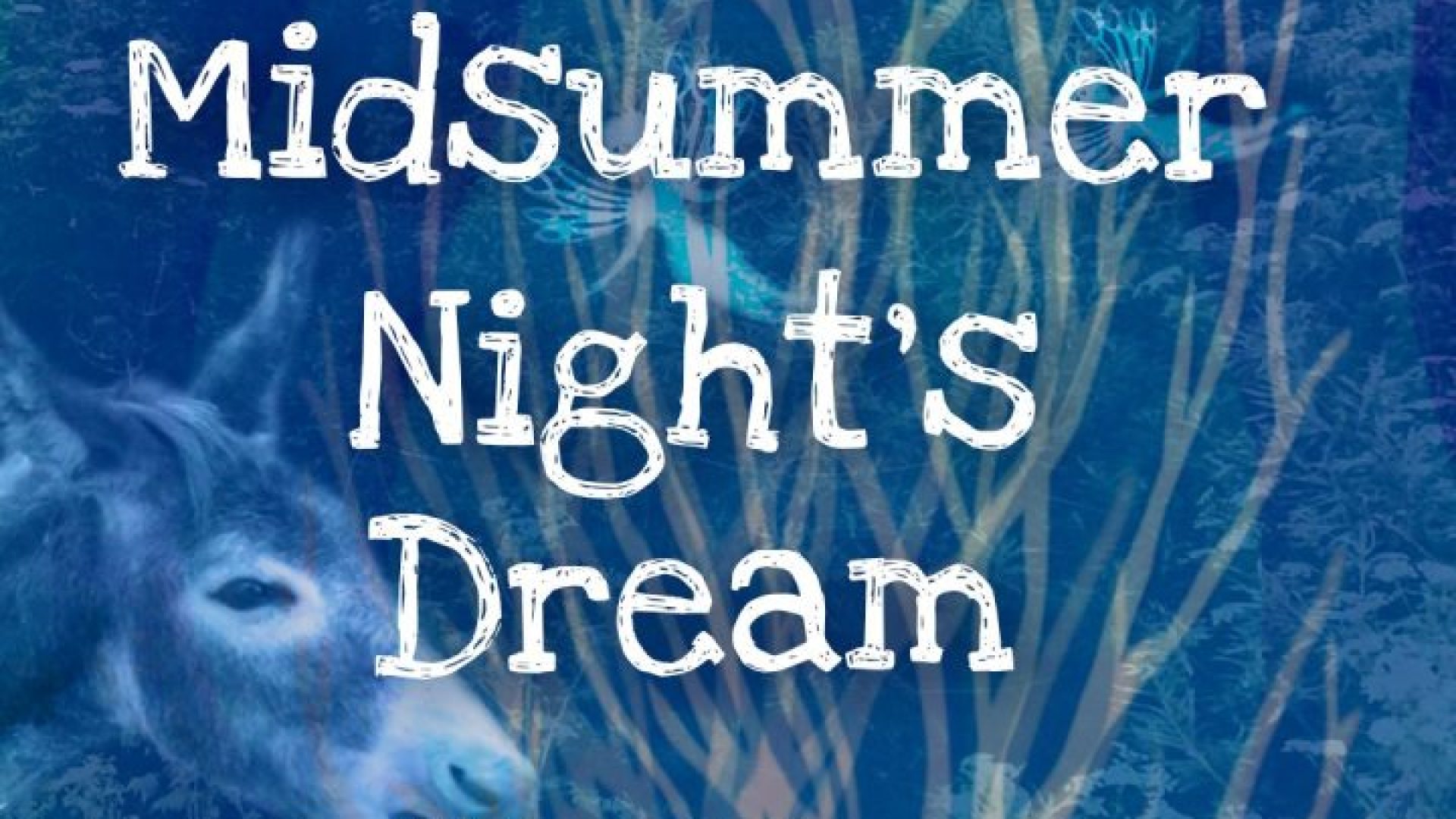 Midsummer Night&#8217;s Dream